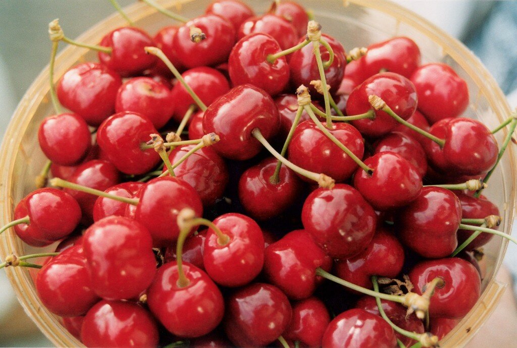 Cherries